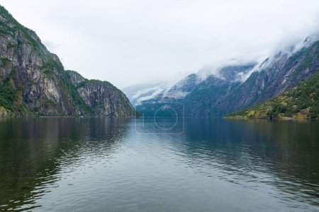 Téléchargez les photos : Moody paysage du Naeroyfjord de Gudvangen. Norvège - en image libre de droit