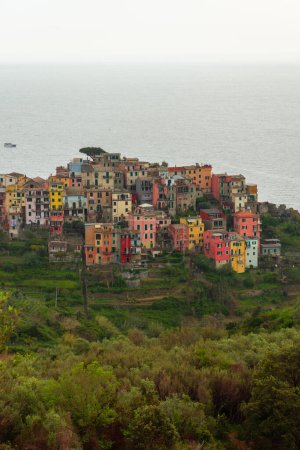 Colorful village of Corniglia upon a hill, Cinque Terre, Liguria, Italy