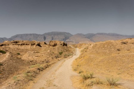 Foto de Ruinas del antiguo Panjakent, antiguo asentamiento en Tayikistán - Imagen libre de derechos