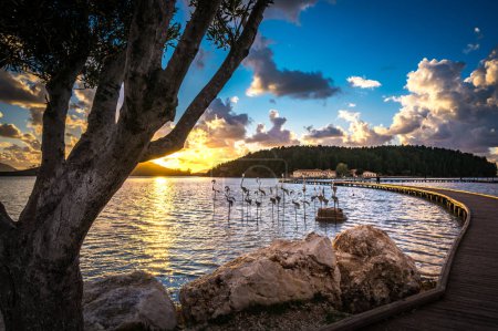 Téléchargez les photos : Zone de Zvernec et monastère avec pont en bois à Narta Lagoon près de Vlore, ALBANIE. - en image libre de droit