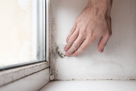 Téléchargez les photos : Champignon et moisissure sur le mur et la fenêtre à l'intérieur de l'appartement. Le problème de la ventilation, l'humidité, le froid dans l'appartement. - en image libre de droit