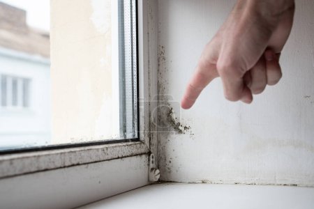Photo for Man points his finger at mold in the corner of the window. - Royalty Free Image