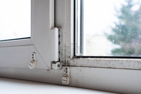 Foto de Molde en la ventana de la casa. Las esporas de moho prosperan con la humedad. - Imagen libre de derechos