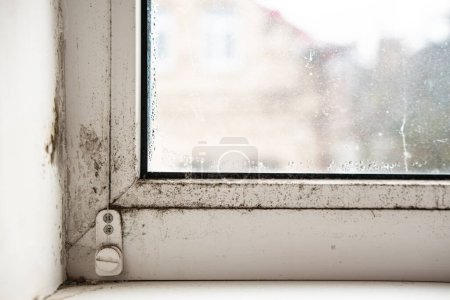 House window with damp and condensation.