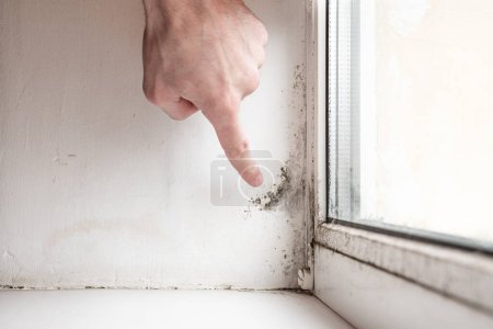 Man points his finger in the mold and fungus on the wall and white window. Dangerous fungus that needs to be destroyed.
