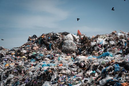 Photo for Trash piles in landfill. Gulls over a pile of garbage. - Royalty Free Image