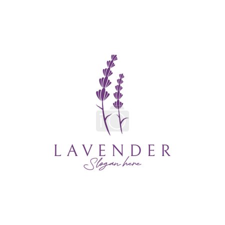 Illustration for Blooming lavender organic flower logo design. Logo for cosmetics, beauty, botany, perfume and decoration. - Royalty Free Image