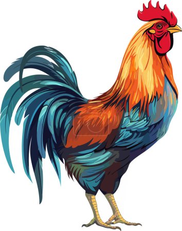 Illustration for High detailed realistic vector cock rooster isolated on white background, vector illustration. - Royalty Free Image