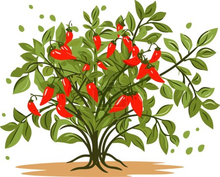 Vektor für Rote Chilischote. Würziges Gemüse am Baum. Vektorillustration - Lizenzfreies Bild
