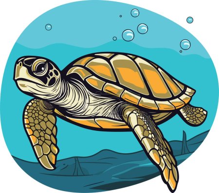 Tortuga marina Turquesa Oceanlife Dibujos animados Vector Ilustración