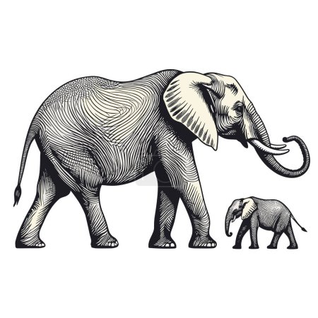 Ilustración de Elefante africano y cachorro de elefante bebé. Vector vintage grabado en blanco y negro ilustración - Imagen libre de derechos