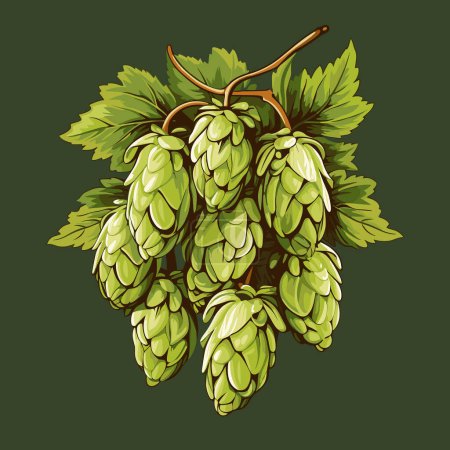 Fresh hop plants with cones and green leaves. Organic natural malt ingredient for craft beer alcohol drink production. Vector illustration