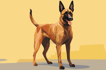 Thoroughbred belgian malinois dog in full length. Dog breed vector illustration