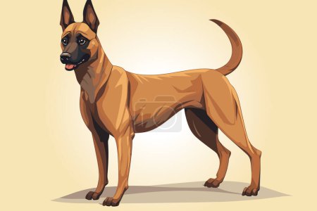 Illustration for Thoroughbred belgian malinois dog in full length. Dog breed vector illustration - Royalty Free Image