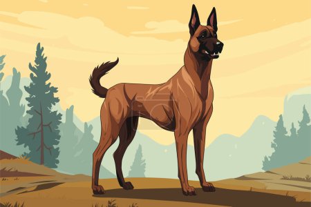 Thoroughbred belgian malinois dog in full length. Dog breed vector illustration