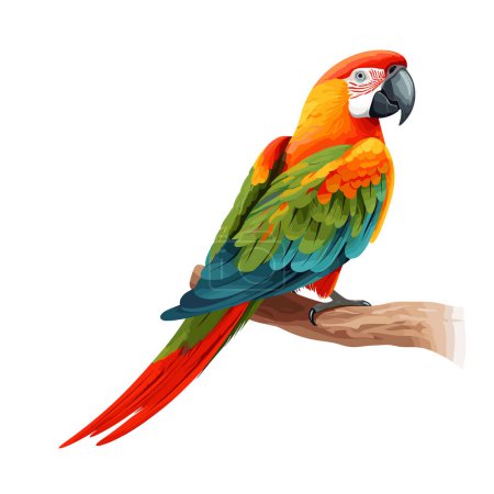 Loro exótico. Tropical bird parrot illustration vector