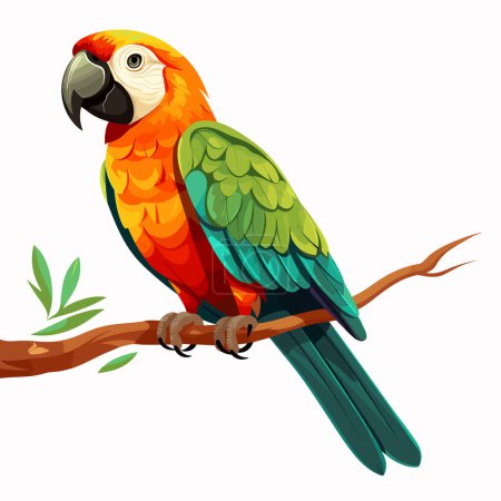 Loro exótico. Tropical bird parrot illustration vector