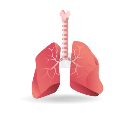 Téléchargez les illustrations : Illustration 3D plate isométrique du concept d'anatomie de l'œsophage aux poumons - en licence libre de droit