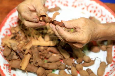 Foto de Un primer plano de un anciano asiático que prepara tamarindo empapado agrietando conchas de tamarindo maduras y agrias en una mesa de madera en casa. - Imagen libre de derechos