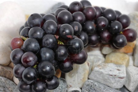 Téléchargez les photos : Raisins mûrs sur pierre texture et fond. Texture rocheuse - en image libre de droit