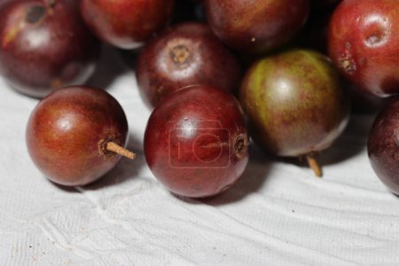 Téléchargez les photos : Fruits rouges sur fond blanc. Flacourtia inermis, communément appelé lovi-lovi. Fruits fond - en image libre de droit