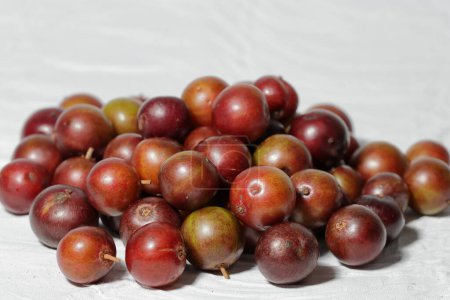 Téléchargez les photos : Fruits rouges sur fond blanc. Flacourtia inermis, communément appelé lovi-lovi. Fruits fond - en image libre de droit