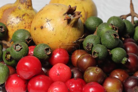 Téléchargez les photos : Collecte de fruits frais et sains pour une alimentation saine. - en image libre de droit