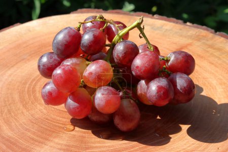 Téléchargez les photos : Raisins violets mûrs rapprochés sur fond bois. Grappes de raisins violets mûrs - en image libre de droit
