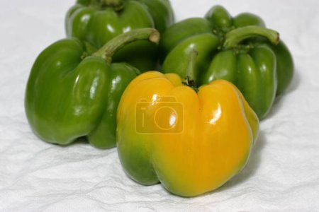 Green bell pepper on white background. sweet green bell pepper, isolated on white background, clipping path, full depth of field, paprika