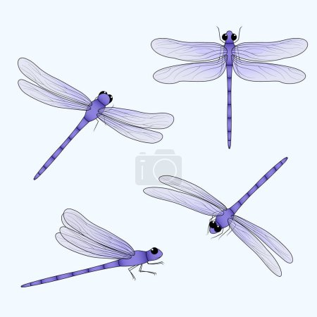 Illustration for Cute dragonflies set. Purple insect drawn from four different positions. Damselfly flat vector illustration. Spring, summer nature. - Royalty Free Image