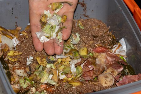 Photo for Bokashi fermenting and composting method. Composting in kitchen with EM Effective Microorganisms which are impregnated on the wheat bran to ferment food - Royalty Free Image