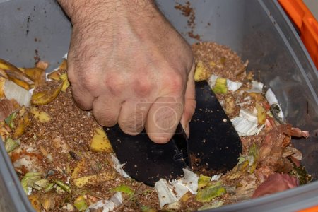 Téléchargez les photos : Méthode de fermentation et de compostage Bokashi. Compostage en cuisine avec EM Microorganismes efficaces qui sont imprégnés sur le son de blé pour fermenter les aliments - en image libre de droit