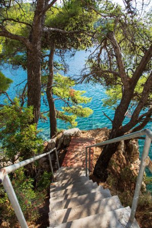 Téléchargez les photos : Promenade le long de la mer dans le quartier de Lapad à Dubrovnik - en image libre de droit