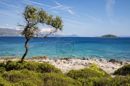 Photo for Badija Island off the Coast of Korcula Island on the Dalmatian Coast of Croatia - Royalty Free Image