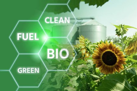 Concepto de descarbonización de biocombustibles neutros en carbono