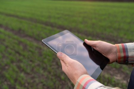 Agricultor con tableta digital en un campo agrícola. De cerca. Agricultura inteligente y agricultura digital