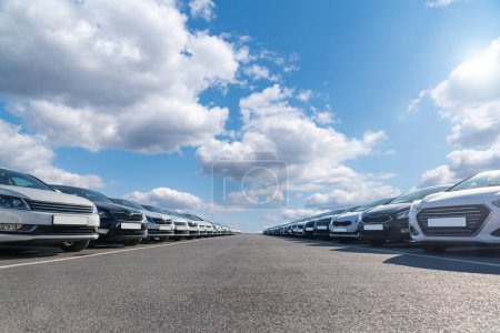 Cars in a row. Car sales 