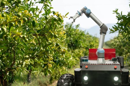 Autonomer Robotererntewagen mit Roboterarm, der auf einer intelligenten Farm Früchte erntet. Konzept. Hochwertiges Foto