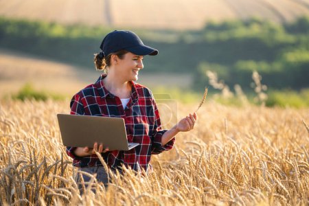 Bäuerin arbeitet mit Laptop auf Weizenfeld. Smart Farming und digitale Landwirtschaft..