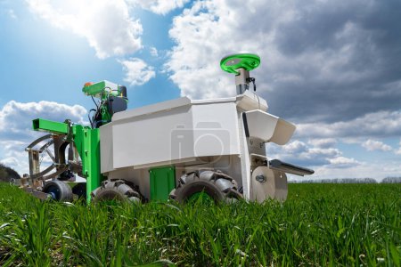Autonomous wheeled robot is working in an agricultural field. Using artificial intelligence on a smart farm.