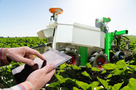 Farmer controls autonomous robot in an agricultural field. Smart farming concept.