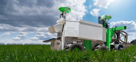 Robot de ruedas autónomo está trabajando en un campo agrícola. Uso de inteligencia artificial en una granja inteligente.