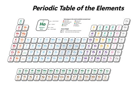 Illustration for Colorful Periodic Table of the Elements - shows atomic number, symbol, name, atomic weight and element category - Royalty Free Image