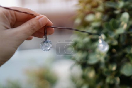 Photo for Decorative outdoor string lights hanging on tree in the garden at evening time. close-up of an electric lamp. - Royalty Free Image
