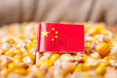Flag of China on corn. Harvest of corn grain in China concept