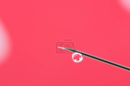 Photo for Macro photo of a needle with a drop of vaccine with reflection of a maple leaf against the flag of Canada. Concept of vaccination in Canada - Royalty Free Image