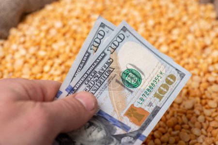 Foto de Hand with US dollars over yellow pea. Concept of price on grain, trade of yellow pea - Imagen libre de derechos
