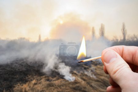 Foto de Campo quemado en el campo con fuego partido en primer plano. Concepto de gran incendio provocado por un fósforo - Imagen libre de derechos