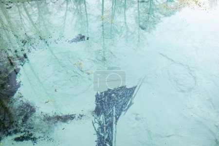 Taubenfarbener Schlamm am Grund des kleinen Baches mit kristallklarem Wasser, die Reflexion der Bäume an der Oberfläche. Naturphänomen Teich mit Wasserquellen, gut für die Gesundheit