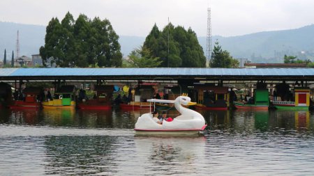 Photo for Group of people on boarding in White duck Pedal boat at Floating Market. One of Recreation spot at Lembang, Bandung, West Java. Paddle ship in rent. - Royalty Free Image